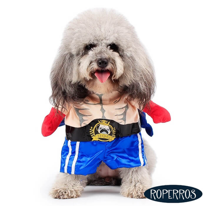 Disfraz Boxeador – Roperros Chile